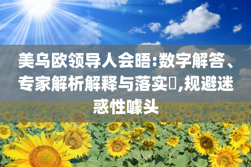 美乌欧领导人会晤:数字解答、专家解析解释与落实​,规避迷惑性噱头