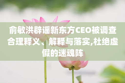 俞敏洪辟谣新东方CEO被调查合理释义、解释与落实,杜绝虚假的迷魂阵