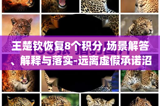王楚钦恢复8个积分,场景解答、解释与落实-远离虚假承诺沼