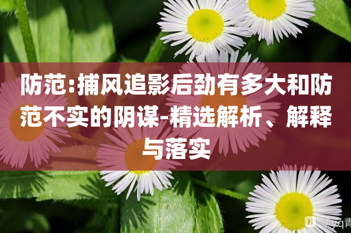 防范:捕风追影后劲有多大和防范不实的阴谋-精选解析、解释与落实