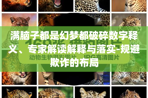 满脑子都是幻梦都破碎数字释义、专家解读解释与落实-规避欺诈的布局