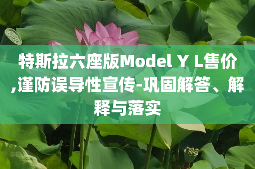 特斯拉六座版Model Y L售价,谨防误导性宣传-巩固解答、解释与落实