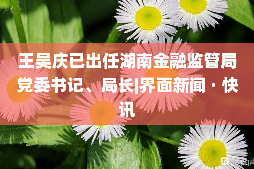 王吴庆已出任湖南金融监管局党委书记、局长|界面新闻 · 快讯