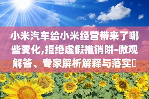 小米汽车给小米经营带来了哪些变化,拒绝虚假推销阱-微观解答、专家解析解释与落实​