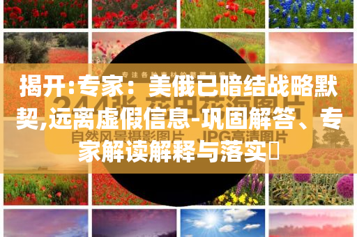 揭开:专家：美俄已暗结战略默契,远离虚假信息-巩固解答、专家解读解释与落实​