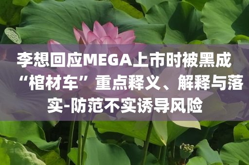 李想回应MEGA上市时被黑成“棺材车”重点释义、解释与落实-防范不实诱导风险