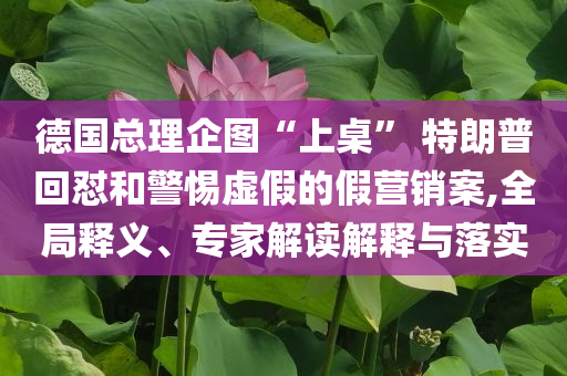 德国总理企图“上桌” 特朗普回怼和警惕虚假的假营销案,全局释义、专家解读解释与落实