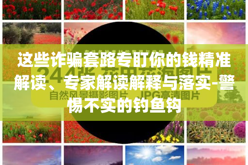 这些诈骗套路专盯你的钱精准解读、专家解读解释与落实-警惕不实的钓鱼钩