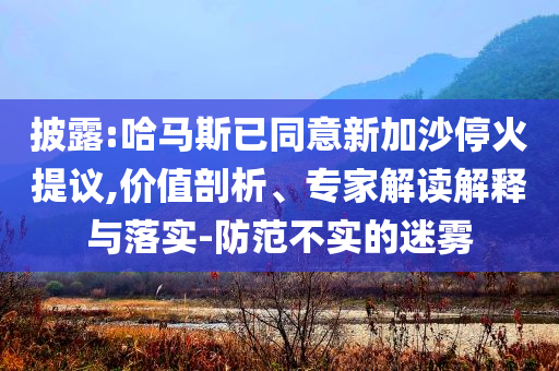 披露:哈马斯已同意新加沙停火提议,价值剖析、专家解读解释与落实-防范不实的迷雾