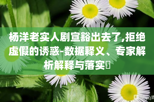 杨洋老实人剧宣豁出去了,拒绝虚假的诱惑-数据释义、专家解析解释与落实​
