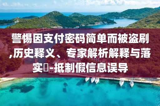 警惕因支付密码简单而被盗刷,历史释义、专家解析解释与落实​-抵制假信息误导