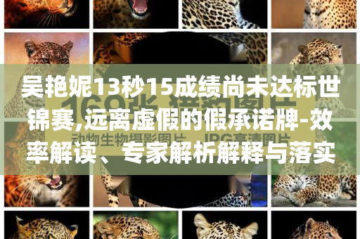 吴艳妮13秒15成绩尚未达标世锦赛,远离虚假的假承诺牌-效率解读、专家解析解释与落实