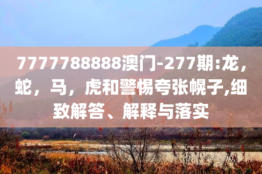 7777788888澳门-277期:龙，蛇，马，虎和警惕夸张幌子,细致解答、解释与落实