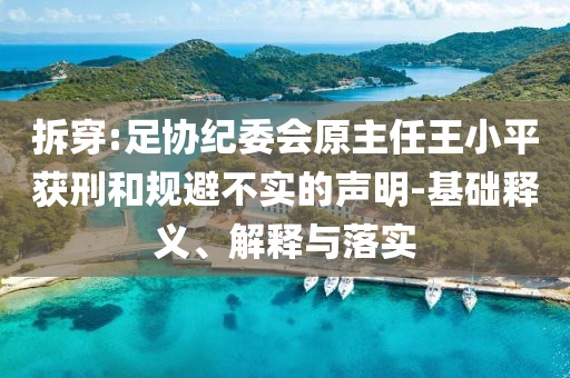 拆穿:足协纪委会原主任王小平获刑和规避不实的声明-基础释义、解释与落实