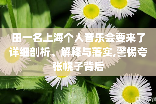 田一名上海个人音乐会要来了详细剖析、解释与落实,警惕夸张幌子背后