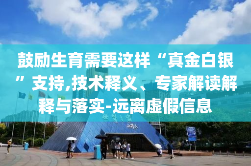 鼓励生育需要这样“真金白银”支持,技术释义、专家解读解释与落实-远离虚假信息