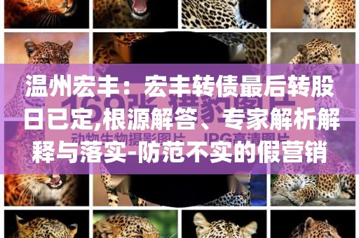 温州宏丰：宏丰转债最后转股日已定,根源解答、专家解析解释与落实-防范不实的假营销