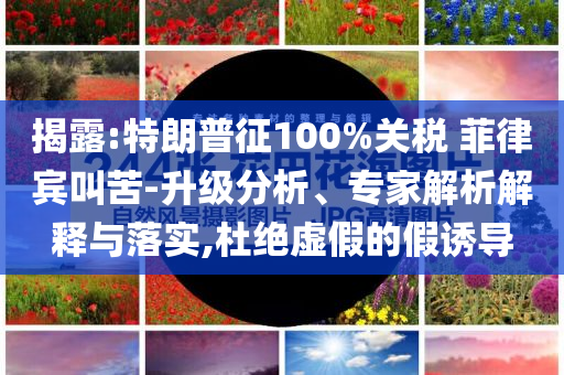 揭露:特朗普征100%关税 菲律宾叫苦-升级分析、专家解析解释与落实,杜绝虚假的假诱导
