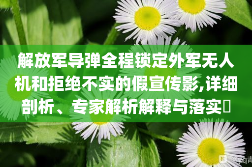 解放军导弹全程锁定外军无人机和拒绝不实的假宣传影,详细剖析、专家解析解释与落实​