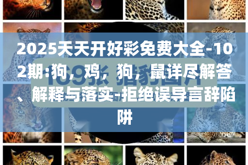2025天天开好彩免费大全-102期:狗，鸡，狗，鼠详尽解答、解释与落实-拒绝误导言辞陷阱