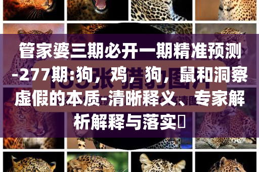 管家婆三期必开一期精准预测-277期:狗，鸡，狗，鼠和洞察虚假的本质-清晰释义、专家解析解释与落实​