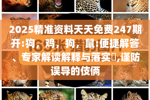 2025精准资料天天免费247期开:狗，鸡，狗，鼠:便捷解答、专家解读解释与落实​,谨防误导的伎俩