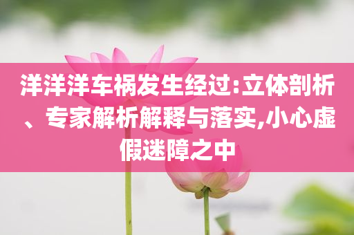 洋洋洋车祸发生经过:立体剖析、专家解析解释与落实,小心虚假迷障之中