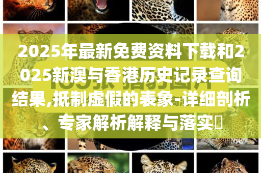 2025年最新免费资料下载和2025新澳与香港历史记录查询结果,抵制虚假的表象-详细剖析、专家解析解释与落实​
