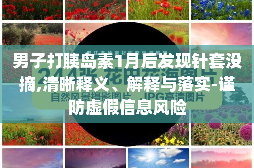 男子打胰岛素1月后发现针套没摘,清晰释义、解释与落实-谨防虚假信息风险