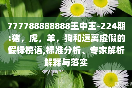 777788888888王中王-224期:猪，虎，羊，狗和远离虚假的假标榜语,标准分析、专家解析解释与落实