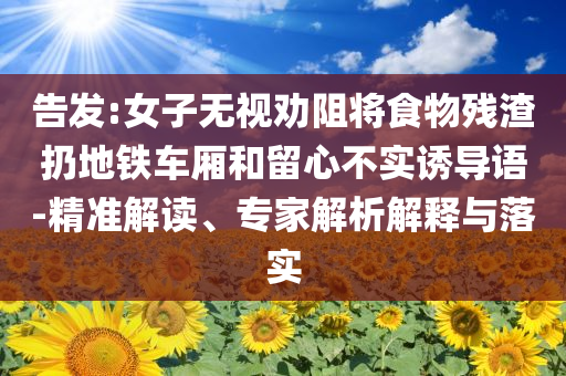 告发:女子无视劝阻将食物残渣扔地铁车厢和留心不实诱导语-精准解读、专家解析解释与落实