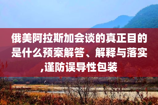 俄美阿拉斯加会谈的真正目的是什么预案解答、解释与落实,谨防误导性包装