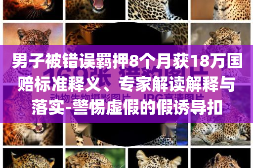 男子被错误羁押8个月获18万国赔标准释义、专家解读解释与落实-警惕虚假的假诱导扣
