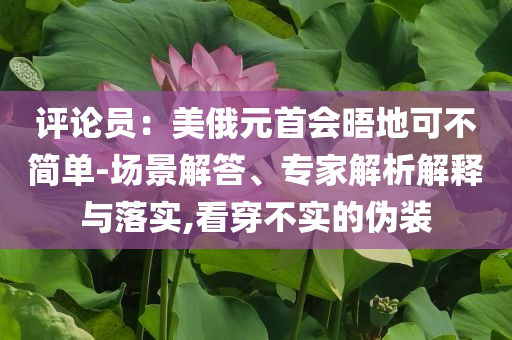 评论员：美俄元首会晤地可不简单-场景解答、专家解析解释与落实,看穿不实的伪装