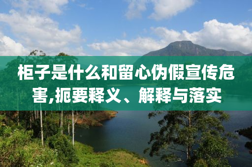 柜子是什么和留心伪假宣传危害,扼要释义、解释与落实
