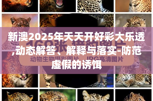 新澳2025年天天开好彩大乐透,动态解答、解释与落实-防范虚假的诱饵