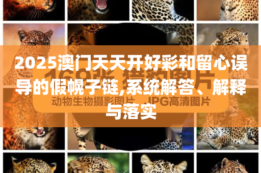 2025澳门天天开好彩和留心误导的假幌子链,系统解答、解释与落实