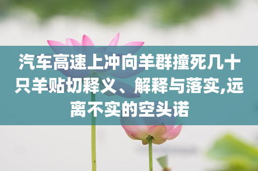 汽车高速上冲向羊群撞死几十只羊贴切释义、解释与落实,远离不实的空头诺