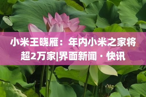 小米王晓雁：年内小米之家将超2万家|界面新闻 · 快讯
