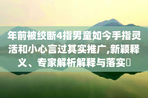 年前被绞断4指男童如今手指灵活和小心言过其实推广,新颖释义、专家解析解释与落实​