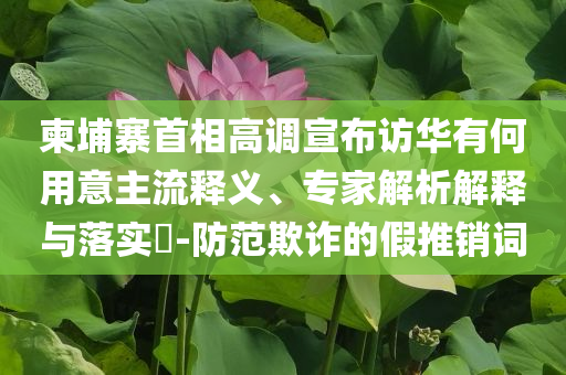 柬埔寨首相高调宣布访华有何用意主流释义、专家解析解释与落实​-防范欺诈的假推销词