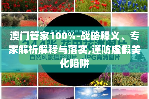 澳门管家100%-战略释义、专家解析解释与落实,谨防虚假美化陷阱