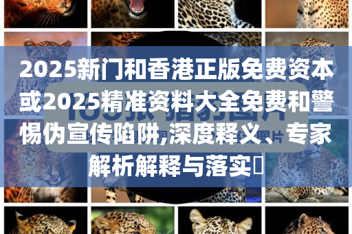 上合組織就伊朗遭軍事打擊發(fā)表聲明-智能釋義、專家解讀解釋與落實(shí)?,小心迷惑包裝危害