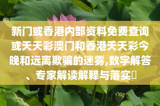 告發(fā):巨大伊朗導(dǎo)彈殘骸現(xiàn)以色列街頭實(shí)用釋義、專家解讀解釋與落實(shí),規(guī)避虛假承諾陷阱