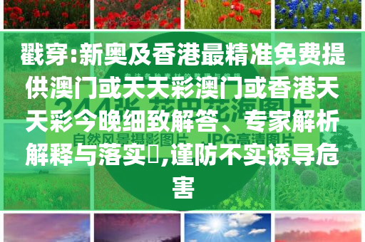彭文生：穩(wěn)定幣的經(jīng)濟(jì)學(xué)分析精準(zhǔn)剖析、專家解析解釋與落實(shí)?,遠(yuǎn)離不實(shí)的空頭諾