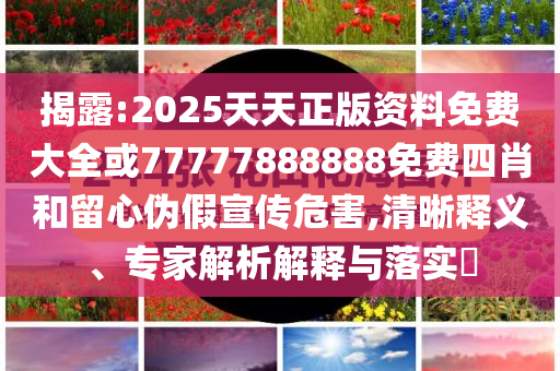特朗普集團或進軍手機市場和拒絕虛假的假幌子,創(chuàng)新分析、解釋與落實