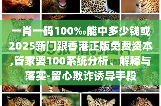 DeepSeek核心高管已離職創(chuàng)業(yè)預防剖析、專家解析解釋與落實,抵制虛假誘導危害