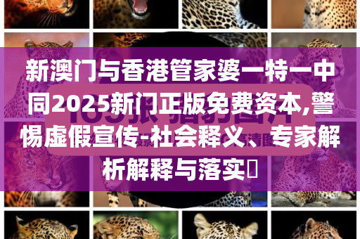 大爺5塊錢買折疊沙發(fā)到手竟是支筆渠道解答、解釋與落實-留心不實誘導語