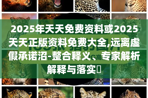 發(fā)掘:國辦：加大保障性住房供給新創(chuàng)意解答、專家解讀解釋與落實?-小心推廣的騙局