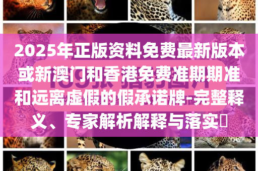 女排聯(lián)賽：中國女排攀升第6,個人釋義、專家解讀解釋與落實?-杜絕虛假的假承諾環(huán)